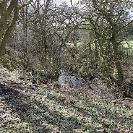 Eldroth Ferienhaus *